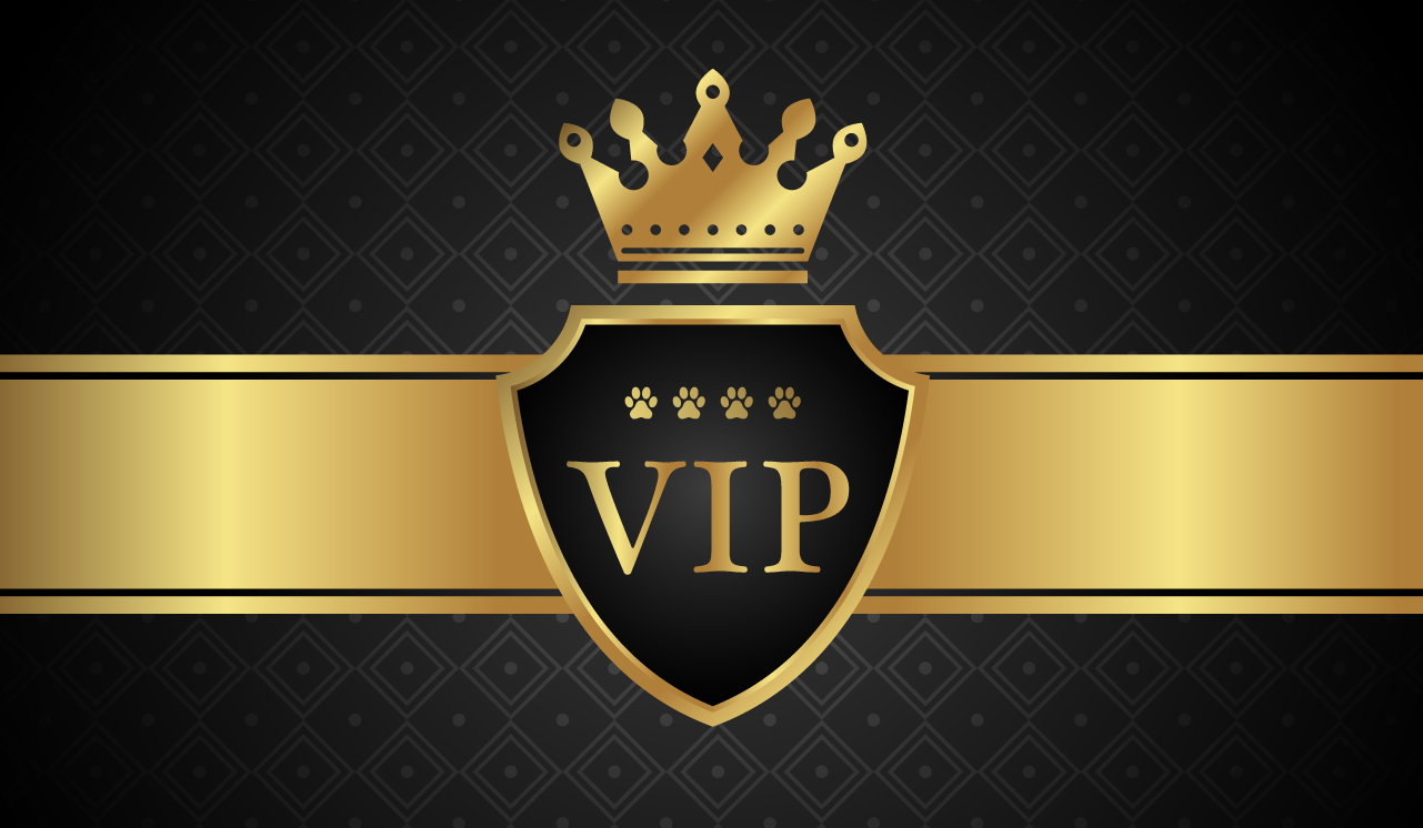 Salón pre psov DogPoint Piešťany - ozónoterapia pre psov